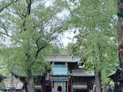 -晋祠公园
