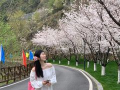 -高岚大峡谷旅游度假区