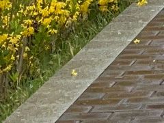 -舜耕山庄南风阁(舜耕路店)