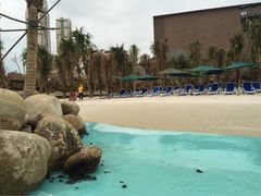 三亚湾红树林度假世界-三亚湾红树林度假世界(木棉酒店)