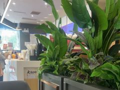 -COSTA COFFEE(丰联广场店)