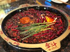 -一斗火锅·招财羊毛肚(上河城店)