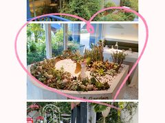 -春树下·树屋花房西餐厅(罍街AS1980店)