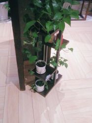 -香秀空间科技抗衰·美容中心