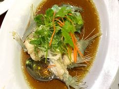 -大茄来海鲜餐厅(亚洲城分行)
