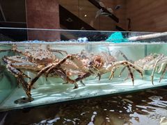 -樱之盛宴·蟹料理海鲜自助(前进大街店)