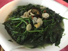 上汤辣椒叶-荷香居(洞企石路店)