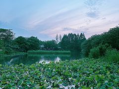-乌镇景区