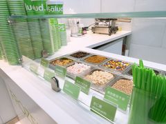 -Salud撒露欧洲冻酸奶(蓝色港湾店)