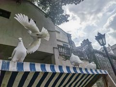 -赤坎·广东华侨国际旅游度假区