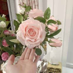 -蒙娜丽莎国际美容中心