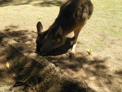 -热带雨林自然公园