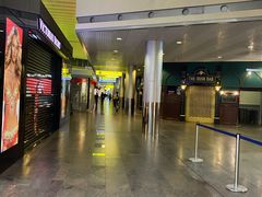 -谢列梅捷沃国际机场