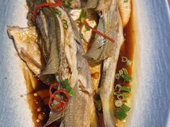 -33号大院·青岛本帮菜(五四广场店)