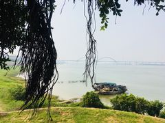 -八仔大富楼·河鲜(西江店)