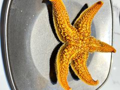 -海卫蚝情·海鲜烧烤