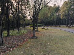 -高东生态园-停车场