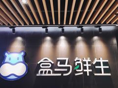 -盒马鲜生(曜一城店)
