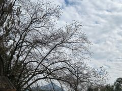 -绩溪龙川景区