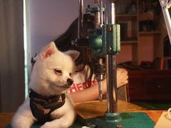-零几体验diy皮具工作室(振业城店)