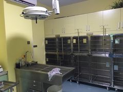 -瑞鹏宠物医院·爱宠堂·骨外专科(西荷分院)