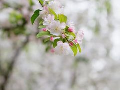-海棠花溪(元大都城垣遗址公园)