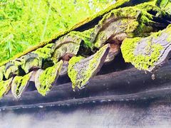 -秋霞圃