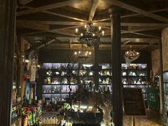 -雪灵魔法世界SHELLY’S TAROT(大良桂畔里店)