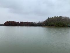 -上海海湾国家森林公园