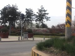 -洨河生态公园