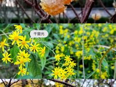 -天河潭旅游度假区