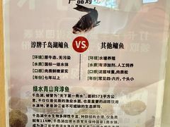 -全乐鱼馆·淳牌有机鱼直营店