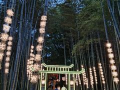 -杭州黄龙洞
