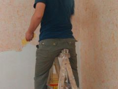 -菲迪科尔墙衣(集美家居定慧桥店)