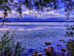 -西昌邛海湿地