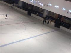 -TheRink大零溜冰场(IFS国金中心店)