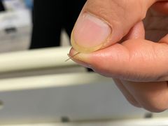 -东南大学附属中大医院(本部)