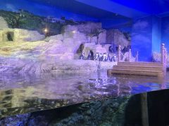 -暹罗海洋世界