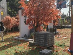 -广州长隆欢乐世界