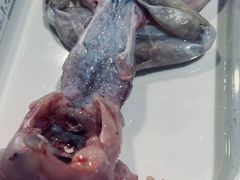 -铭记蛙小仙·活蛙畅享(CBD万达广场店)