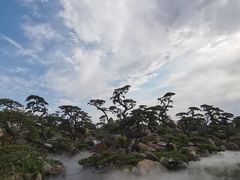 -罗红摄影艺术馆