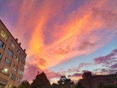 -西南林业大学(白龙校区)