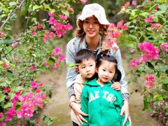 -北海金海湾红树林生态旅游区