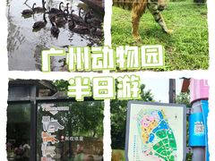 -广州动物园