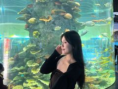 -福州罗源湾海洋世界旅游区
