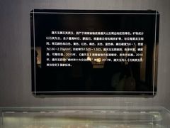 -湖南省地质博物馆