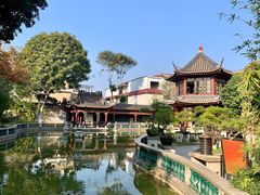 -碧江金楼