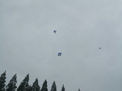 -黄海国家森林公园