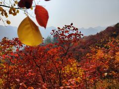 -周口店坡峰岭风景区