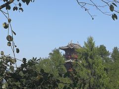 -梦姑塘文化公园